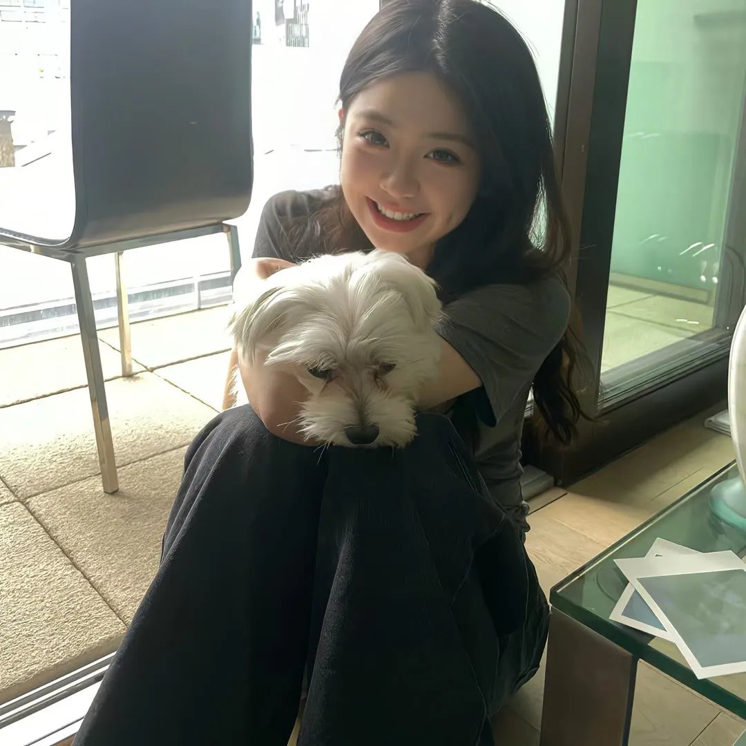 花落莺啼春