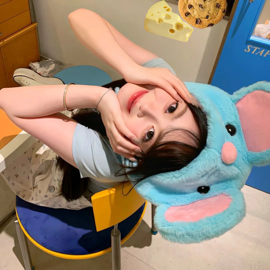 淑女宠爱